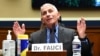 Anthony Fauci 