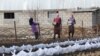 Korday2021 Kazakhstan. People work in the garden. The village of Sortobe, Zhambyl oblast. February 2, 2021